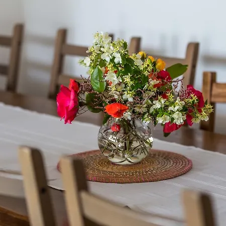 Parenzana * Višnjan