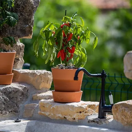 Parenzana Villa Višnjan