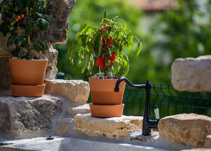 Parenzana Vila Visnjan